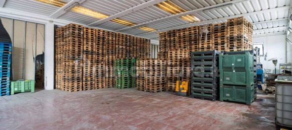 2-Zimmer Gewerbliche Immobilie in Tarquinia, Italy, Nr. 222171 7