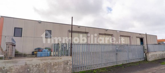 2-Zimmer Gewerbliche Immobilie in Tarquinia, Italy, Nr. 222171 4