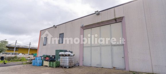 2-Zimmer Gewerbliche Immobilie in Tarquinia, Italy, Nr. 222171 6