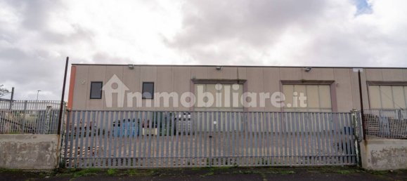 2-Zimmer Gewerbliche Immobilie in Tarquinia, Italy, Nr. 222171 16