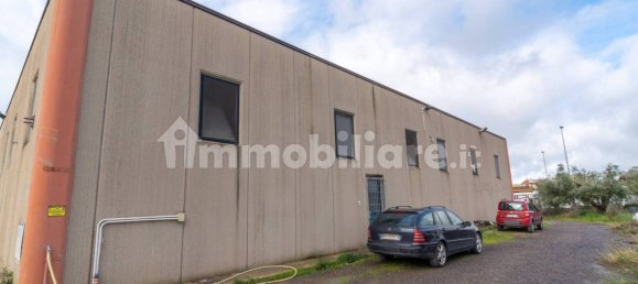 2-Zimmer Gewerbliche Immobilie in Tarquinia, Italy, Nr. 222171 3