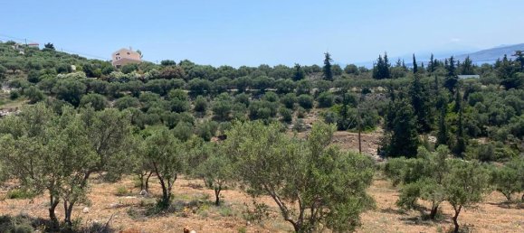  فندق في Chania, Greece 6800متر مربع رقم 3005 4