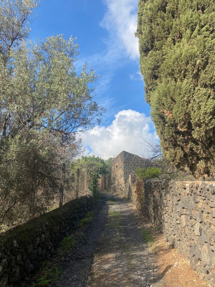  قطعة أرض في San Gregorio di Catania, Italy 1000متر مربع رقم 85236