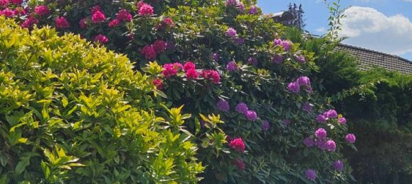 Moradia em banda T4 em Solingen, Germany N.º 6371 25