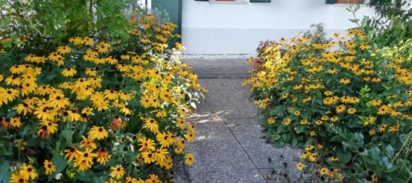 6 rooms House in Vedelago, Italy No. 30544 12