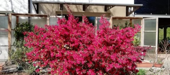 6 rooms House in Vedelago, Italy No. 30544 26