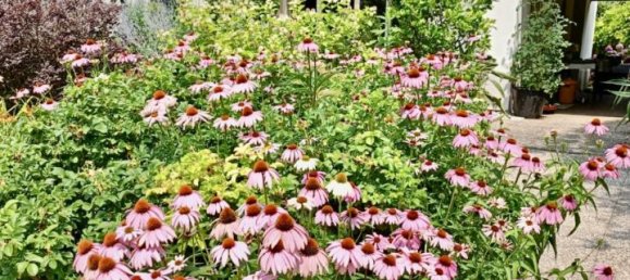 6 rooms House in Vedelago, Italy No. 30544 8