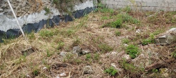 1 bedroom House in Alfarelos, Portugal No. 178002 4