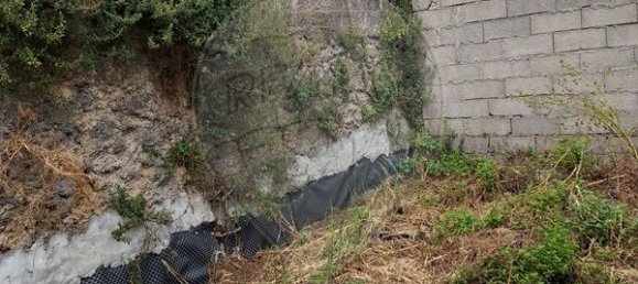 1 bedroom House in Alfarelos, Portugal No. 178002 5