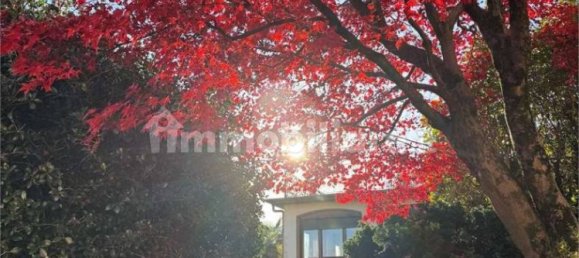 Villa de 5 habitaciónes en Stresa, Italy No. 119638 5