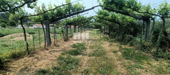 Grundstück in Ponte de Lima, Portugal 1557m², Nr. 224342 13