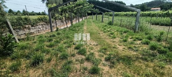 Grundstück in Ponte de Lima, Portugal 1557m², Nr. 224342 18