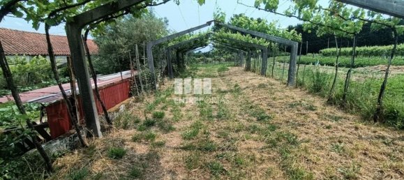 Grundstück in Ponte de Lima, Portugal 1557m², Nr. 224342 2