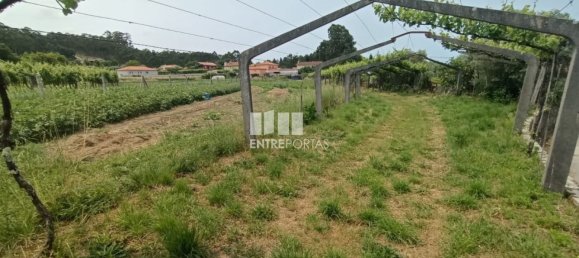 Grundstück in Ponte de Lima, Portugal 1557m², Nr. 224342 27