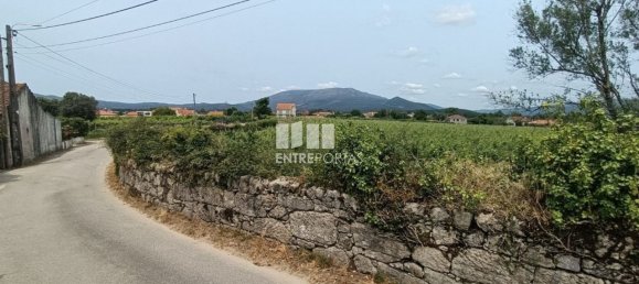 Grundstück in Ponte de Lima, Portugal 1557m², Nr. 224342 20