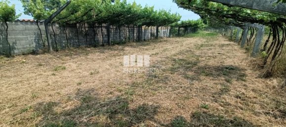 Grundstück in Ponte de Lima, Portugal 1557m², Nr. 224342 4