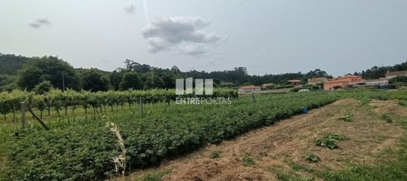 Grundstück in Ponte de Lima, Portugal 1557m², Nr. 224342 21