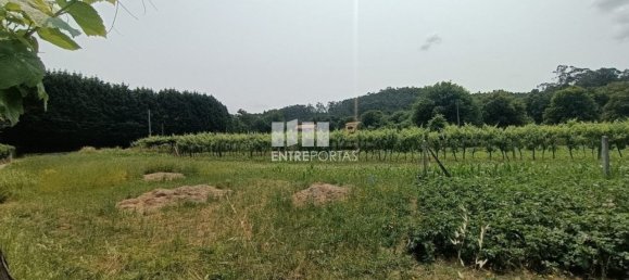 Grundstück in Ponte de Lima, Portugal 1557m², Nr. 224342 16