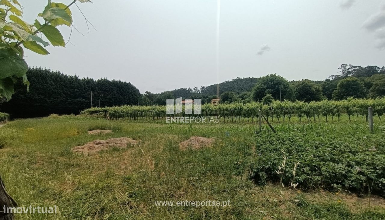 Terreno em Ponte de Lima, Portugal 1557 m² N.º 224342