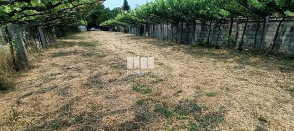 Grundstück in Ponte de Lima, Portugal 1557m², Nr. 224342 23