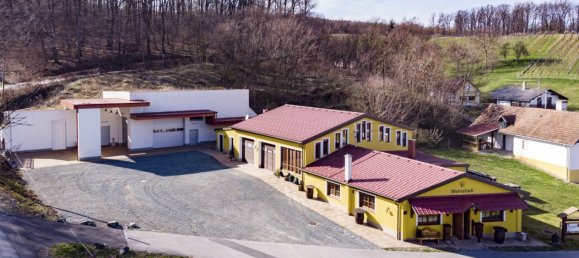 Коммерческая недвижимость 377м² в Эберау, Австрия № 34265 39