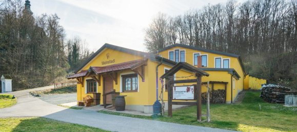 Коммерческая недвижимость 377м² в Эберау, Австрия № 34265 34