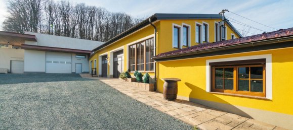 Коммерческая недвижимость 377м² в Эберау, Австрия № 34265 37