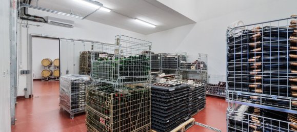 Коммерческая недвижимость 377м² в Эберау, Австрия № 34265 24