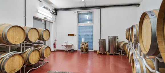 Коммерческая недвижимость 377м² в Эберау, Австрия № 34265 26