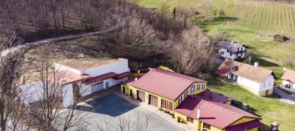 Коммерческая недвижимость 377м² в Эберау, Австрия № 34265 43