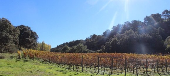 6 bedrooms House in Ronda, Spain No. 173466 29