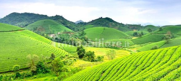 Вилла с 3 спальнями в Ангвиллара Сабация, Италия № 87402 11