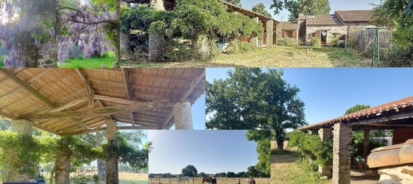 3 chambres Châteaux à Ligné, France No. 329795 2