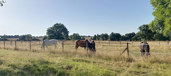 3 chambres Châteaux à Ligné, France No. 329795 17