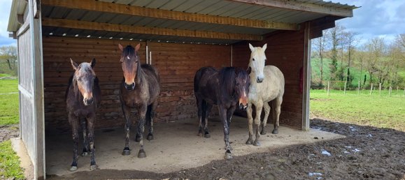 3 chambres Châteaux à Ligné, France No. 329795 16
