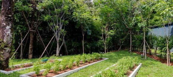 3 bedrooms Villa in Phuket, Thailand No. 64531 22