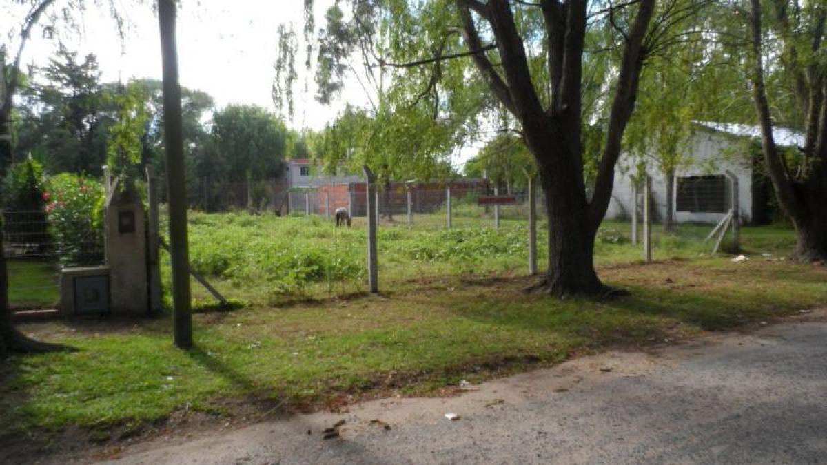  قطعة أرض في Mar del Plata, Argentina رقم 116639