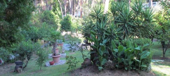 2 bedrooms Commercial property in Chalkidiki, Greece No. 5622 24