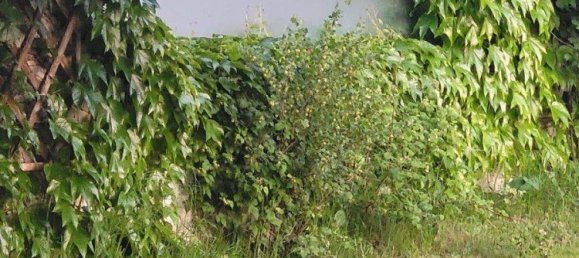 6 rooms House in Erlauf, Austria No. 10992 26