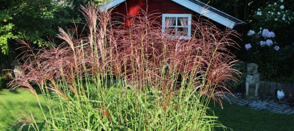 Casa de 4 dormitorios en Lippe, Germany No. 122895 19