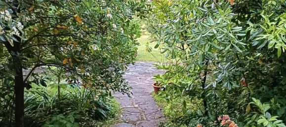 8-salle Villa à Massa, Italy No. 49401 26