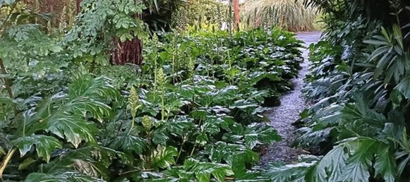 8-salle Villa à Massa, Italy No. 49401 30