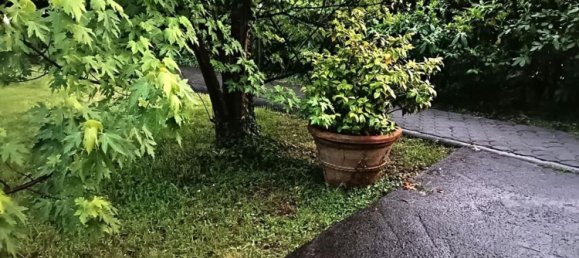 8-salle Villa à Massa, Italy No. 49401 27