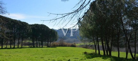 Villa de 12 divisões em Palaia, Italy N.º 24535 18