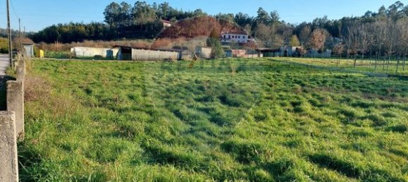 Terreno en Campo de Besteiros, Portugal 3646 m² No. 151151 2