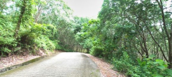 Коммерческая недвижимость 3200м² в Паклок, Таиланд № 12591 5