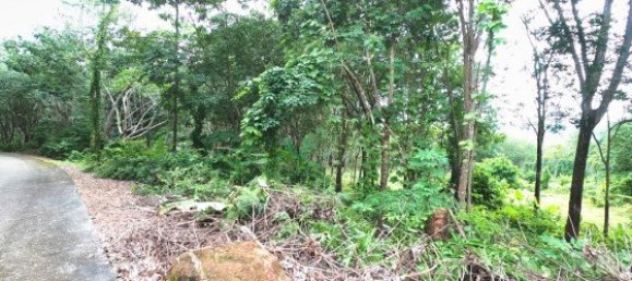 Коммерческая недвижимость 3200м² в Паклок, Таиланд № 12591 3