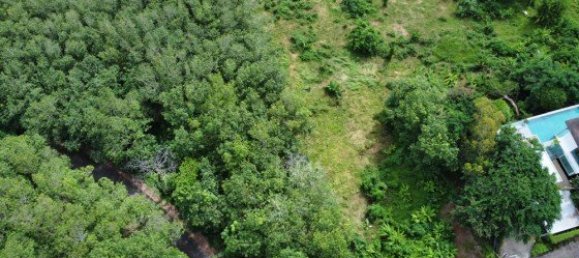 Коммерческая недвижимость 3200м² в Паклок, Таиланд № 12591 2