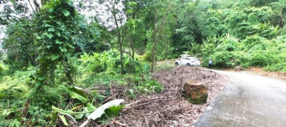 Коммерческая недвижимость 3200м² в Паклок, Таиланд № 12591 6