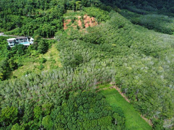 Коммерческая недвижимость 3200м² в Паклок, Таиланд № 12591